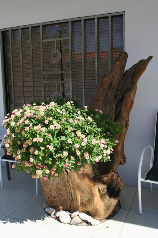 Hotel Tuanis Jaco