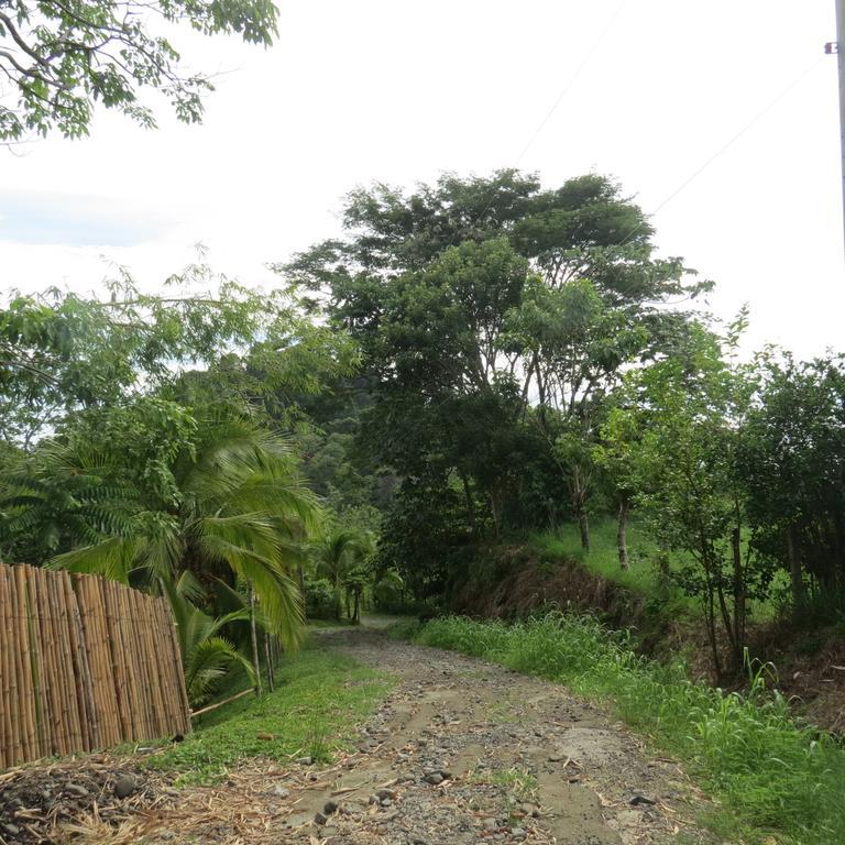 Karibu Manuel Antonio