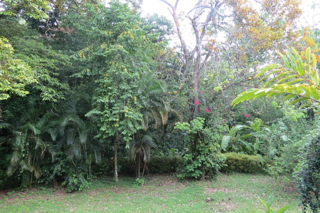 Karibu Apartment Manuel Antonio