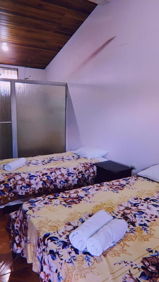 Hostel Alpha Arenal *