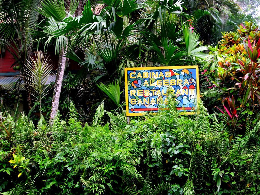 Cabinas Algebra Hostel