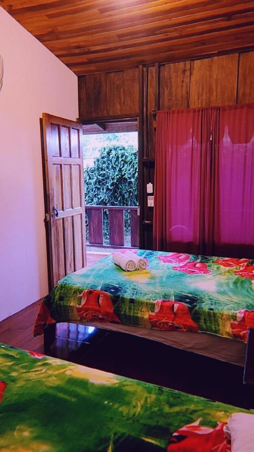 Hostel Alpha Arenal