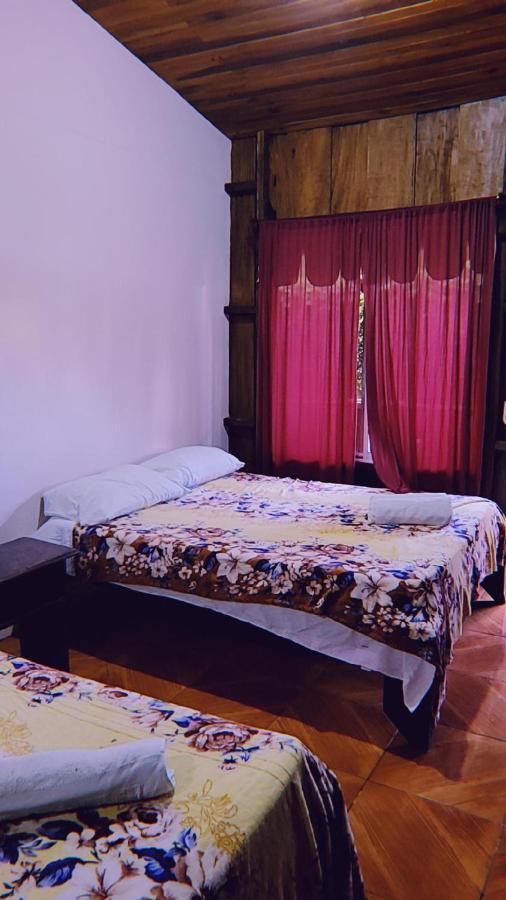 Hostel Alpha Arenal