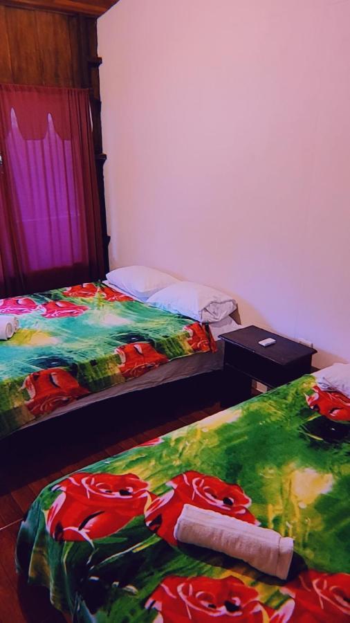 Alpha Arenal Hostel *