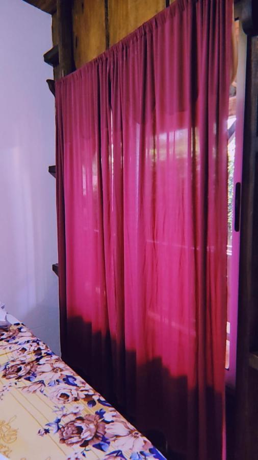 Hostel Alpha Arenal