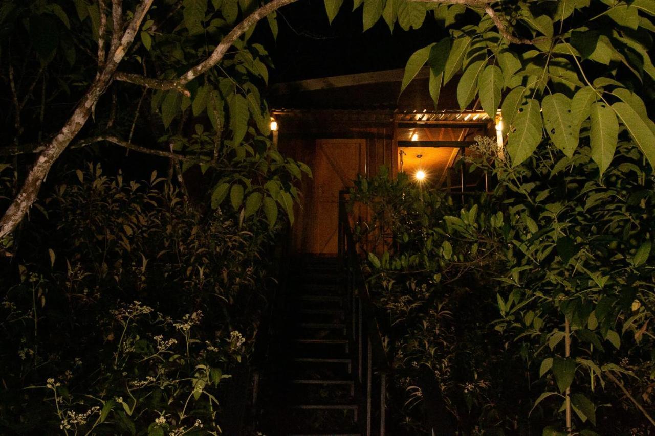 Onca Tours & Treehouses