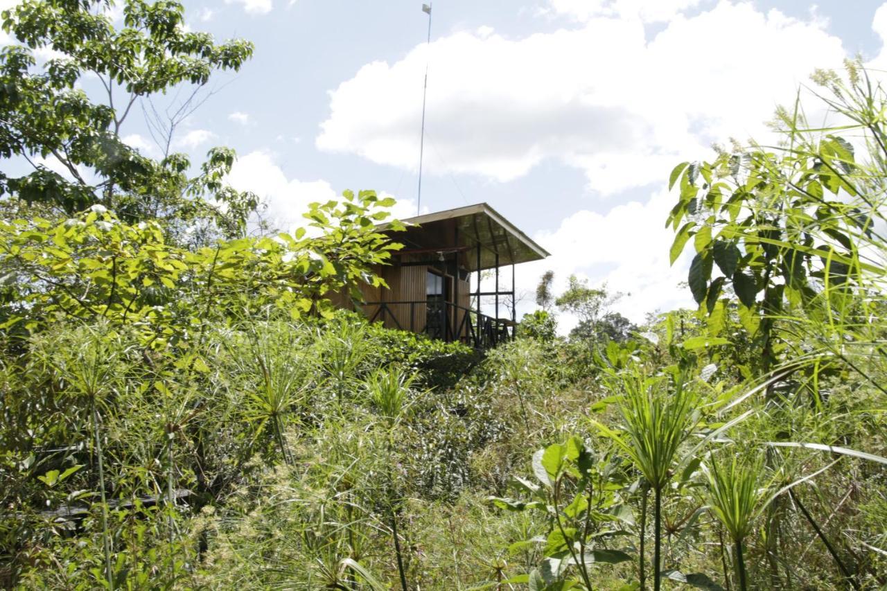 Onca Tours & Treehouses * Katira