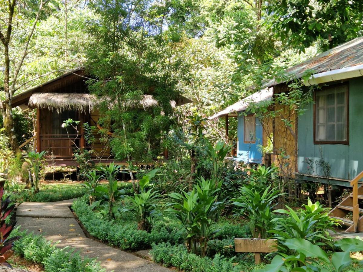 Hidden Paradise 3*