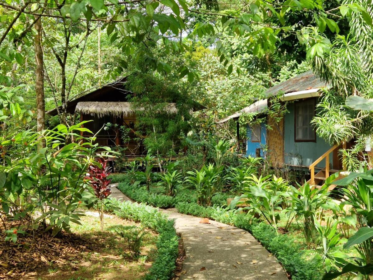 Hidden Paradise Hotel Drake Bay