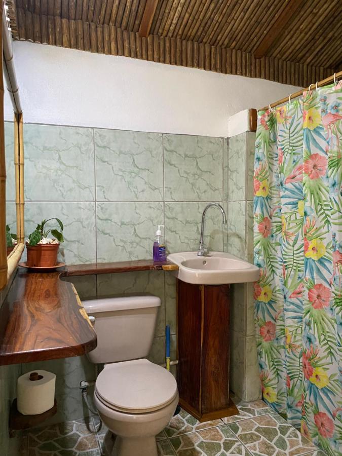 Mauras Tropical Mini & Tours Guest house *