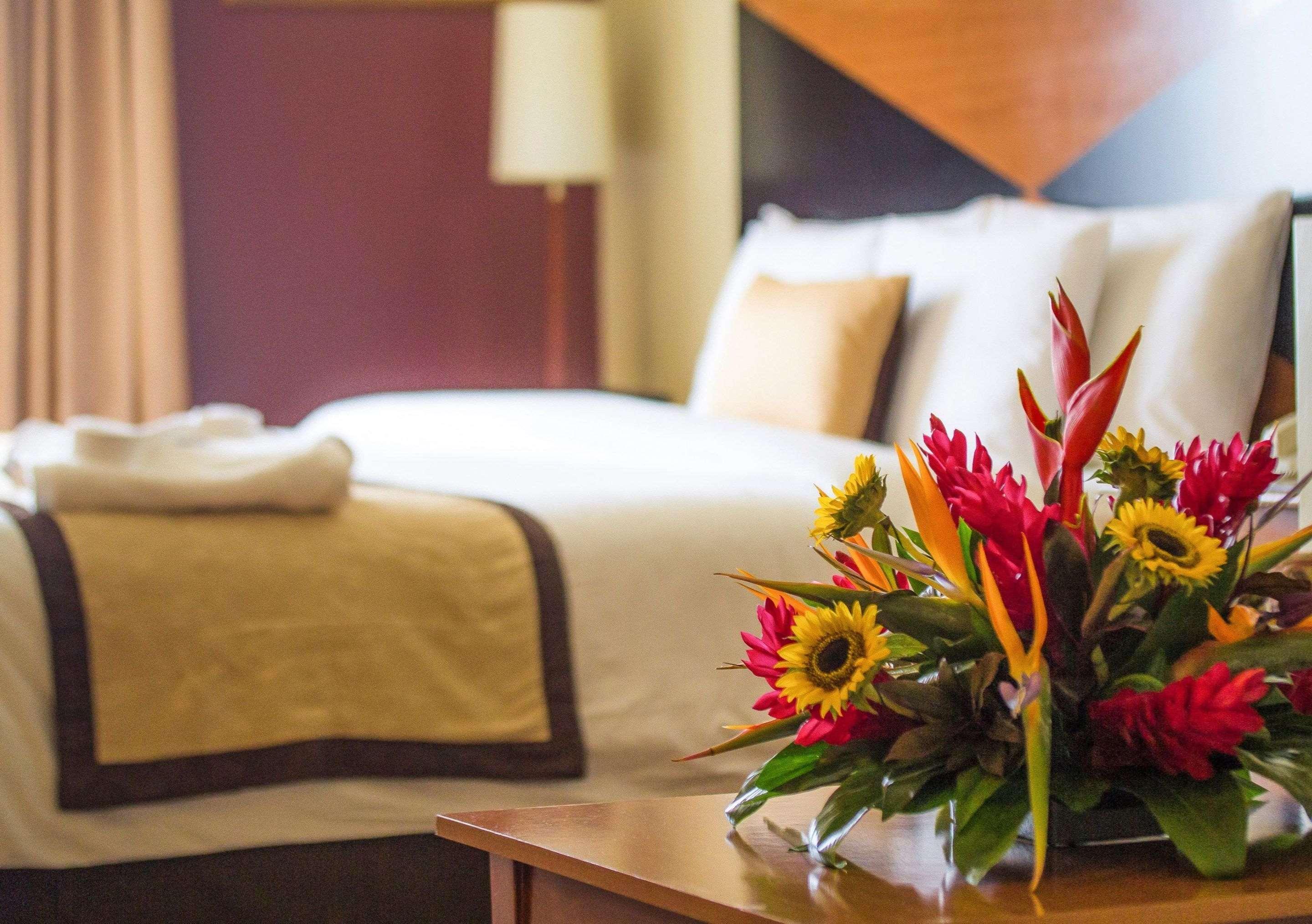 Inn Sleep Paseo Las Damas