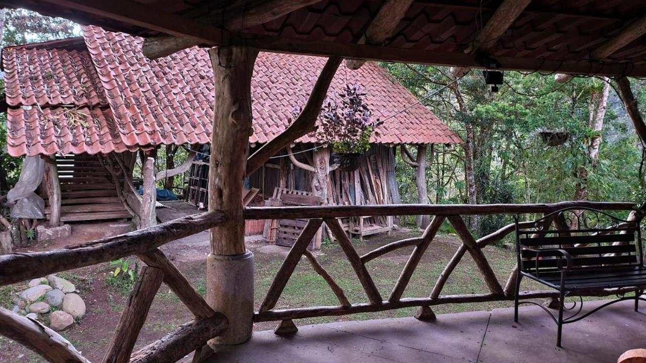 Bed & Breakfast Reserva Y Robles Mimosos