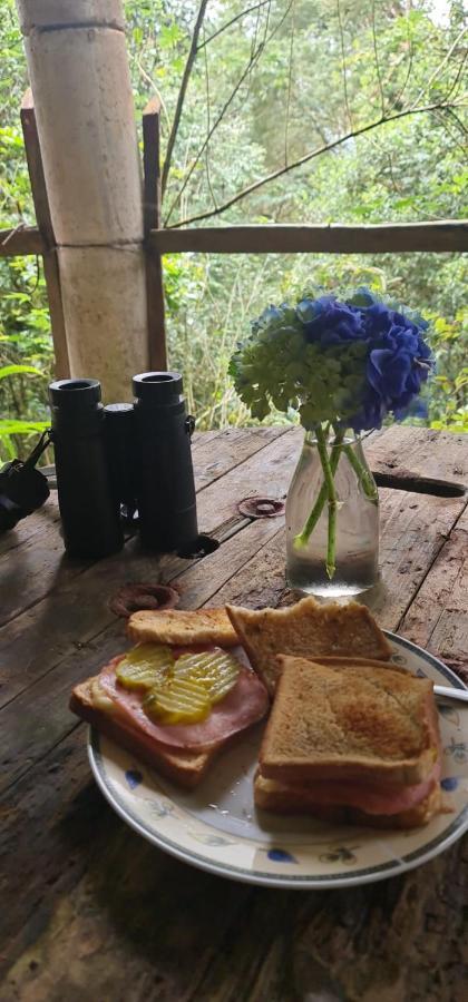 Reserva Y Robles Mimosos Bed & Breakfast Cartago