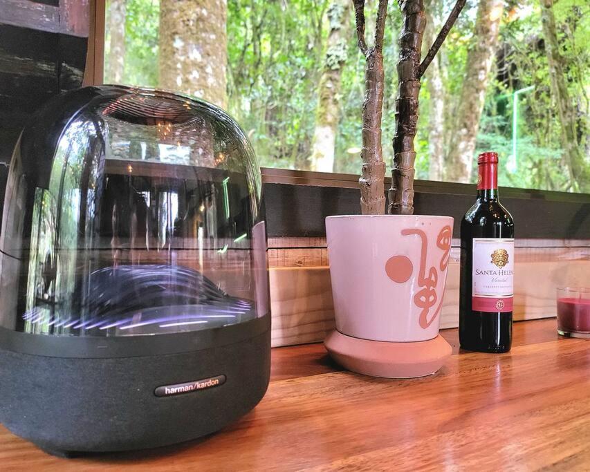 Unicorn Lodge: Direct Riverfront : Unique Experience Chalet San Gerardo de Dota