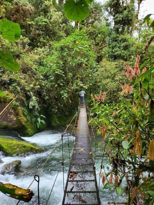 Unicorn Lodge: Direct Riverfront : Unique Experience San Gerardo de Dota