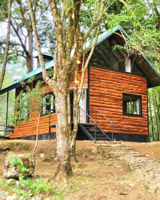 Unicorn Lodge: Direct Riverfront : Unique Experience