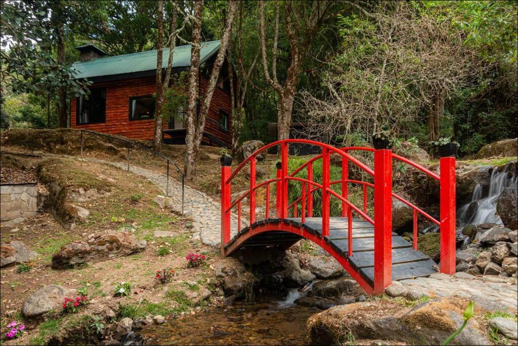 Unicorn Lodge: Direct Riverfront : Unique Experience *