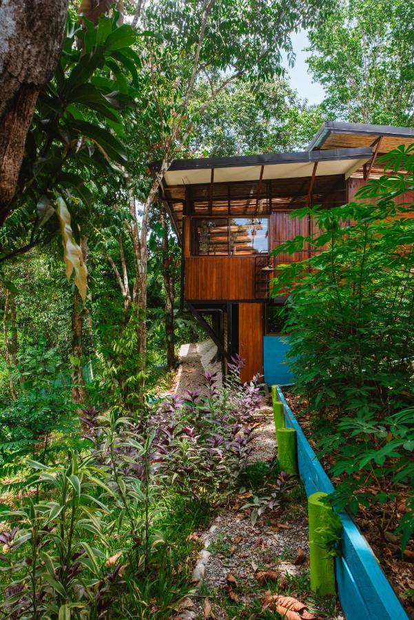 Aparthotel Selva Madre Eco-sanctuary