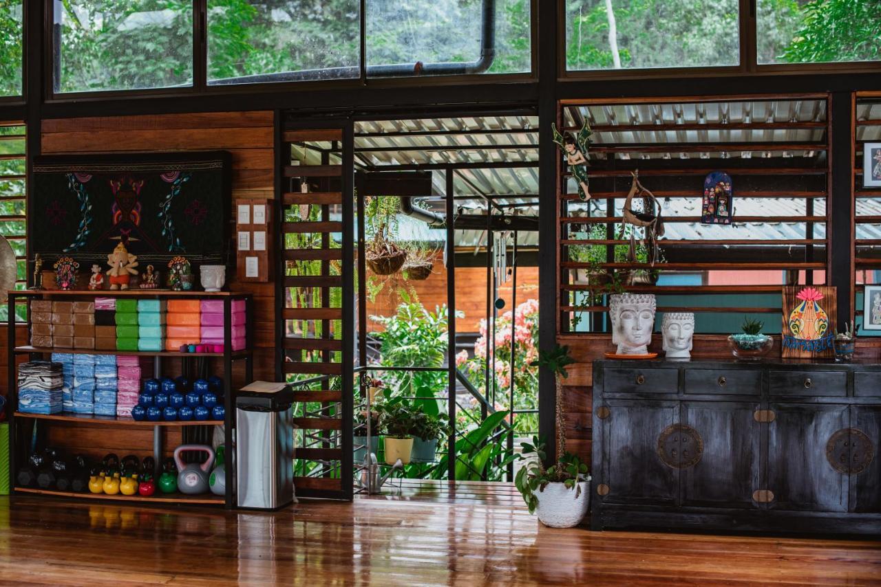 Selva Madre Eco-sanctuary Aparthotel Cahuita