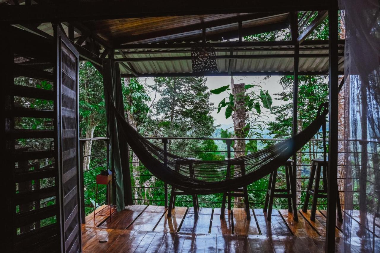 Selva Madre Eco-sanctuary Aparthotel