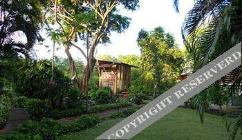Flying Crocodile Hotel