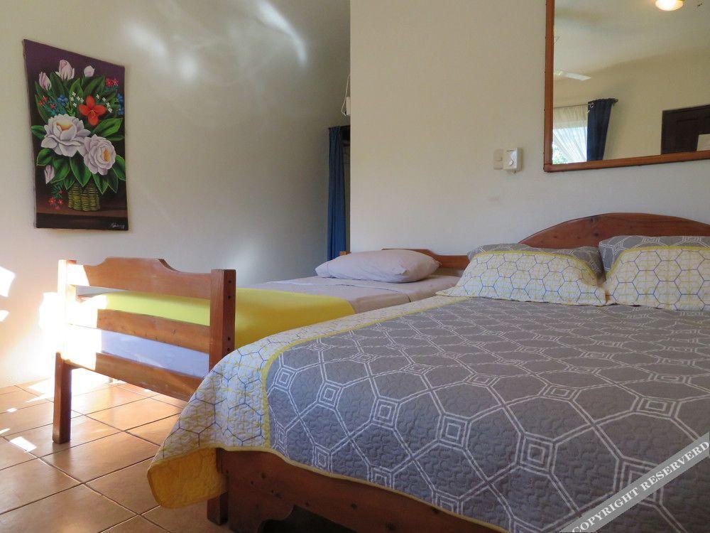 Hotel Diversion Tropical