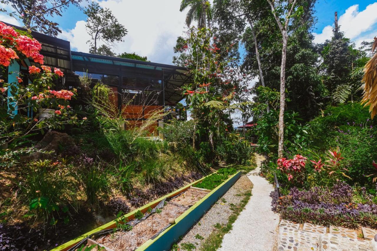 Selva Madre Eco-sanctuary Cahuita