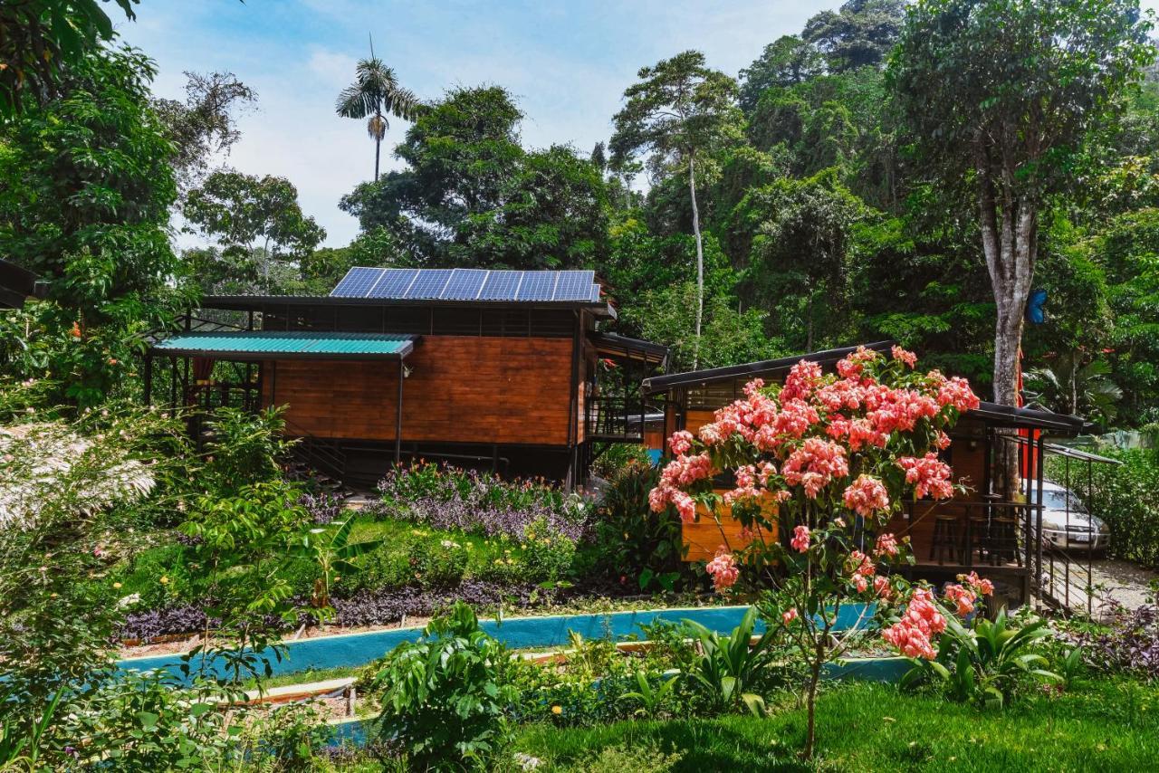 Aparthotel Selva Madre Eco-sanctuary *