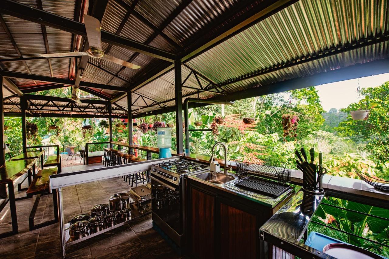 Selva Madre Eco-sanctuary Aparthotel