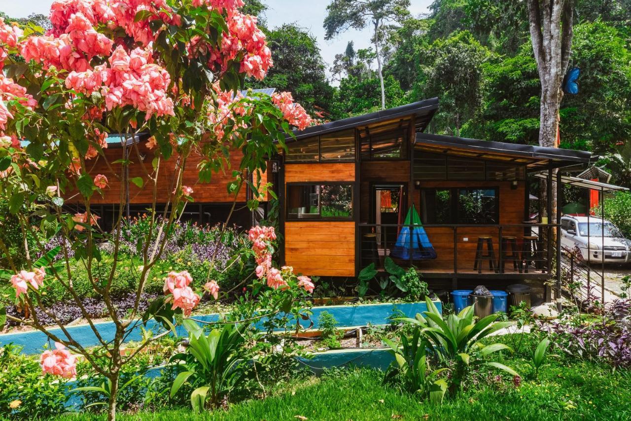 Selva Madre Eco-sanctuary Aparthotel
