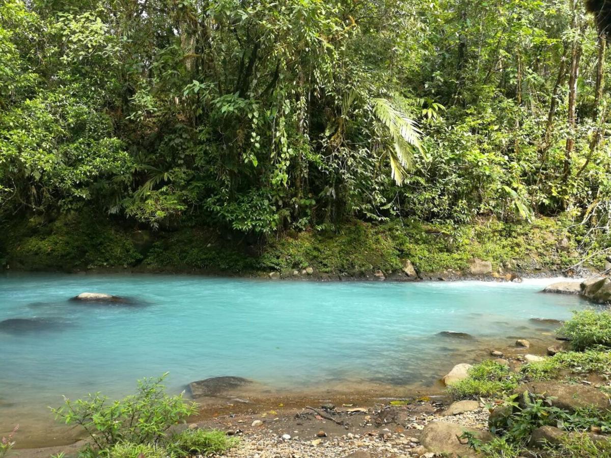 Hotel Cabinas Piuri Rio Celeste