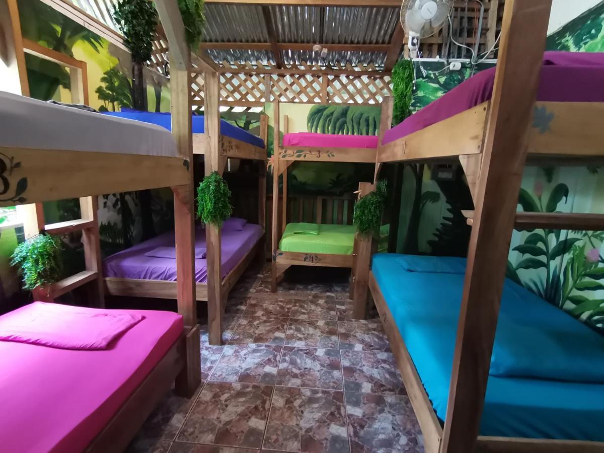 Hostel Oasis Beachfront *