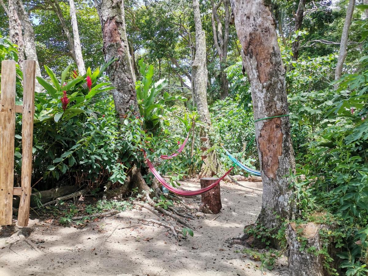 Oasis Beachfront Hostel Puerto Limon