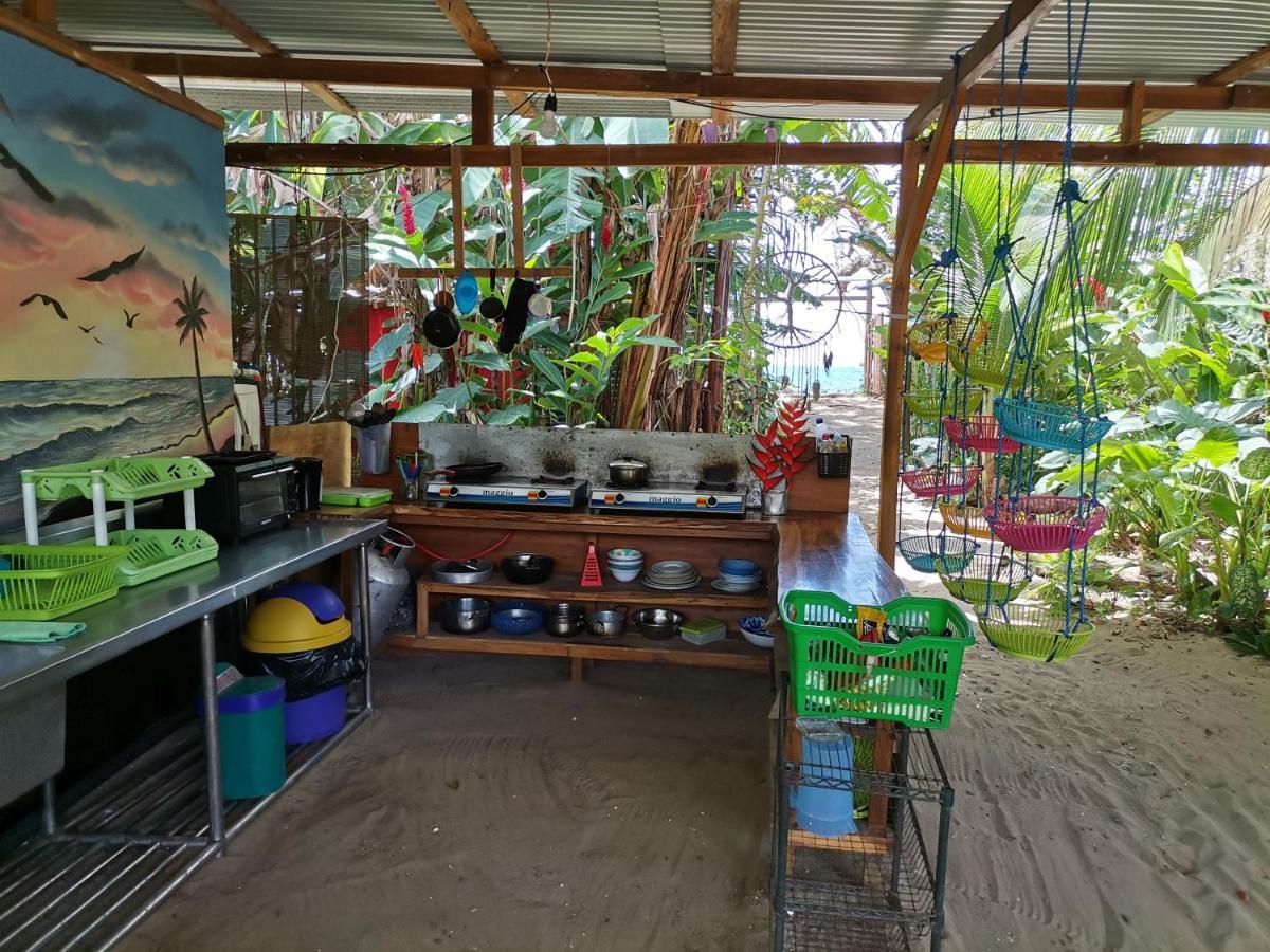 Hostel Oasis Beachfront *
