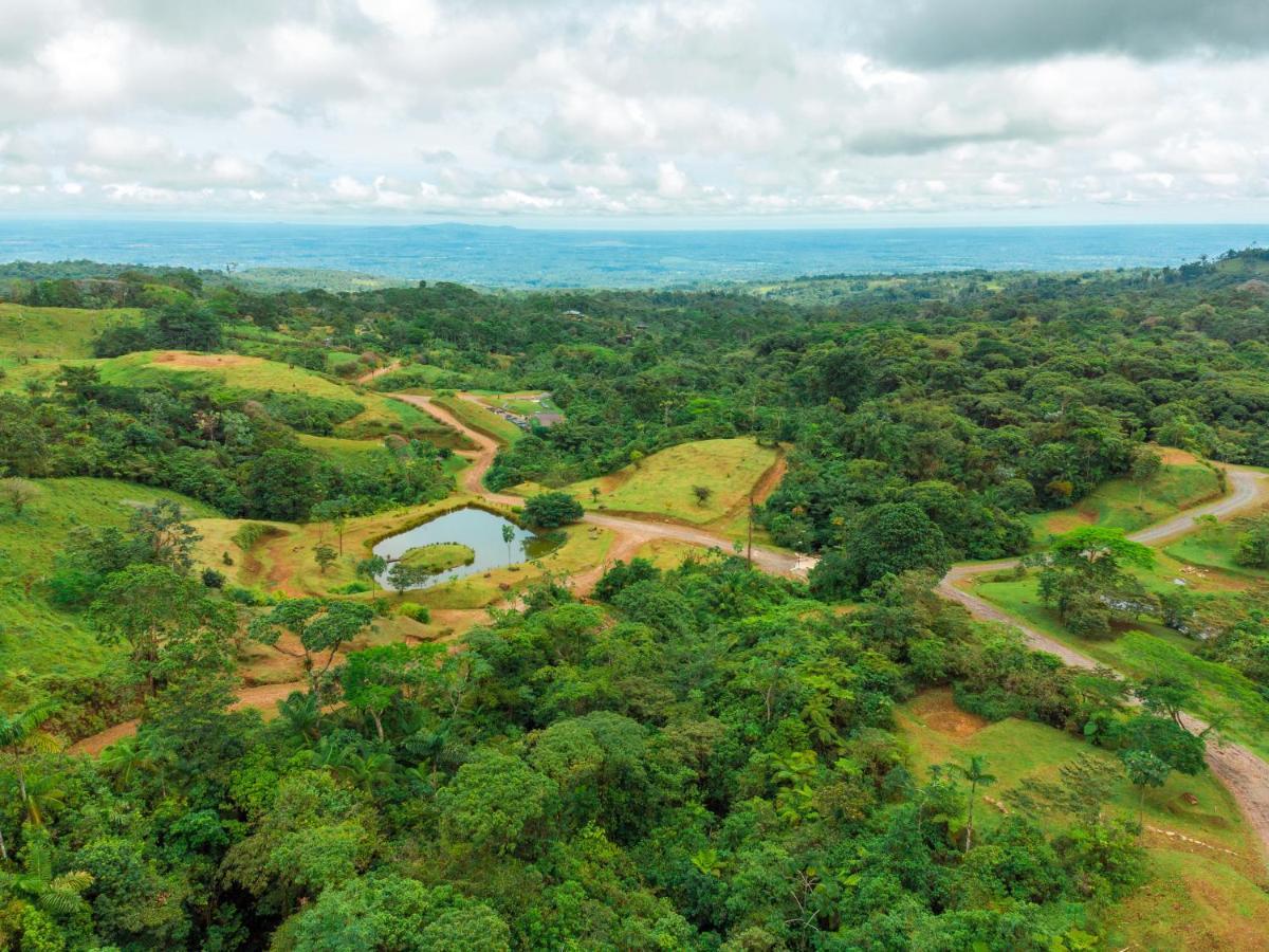 Morpho - Luxury Jungle House At Ecolirios Community Villa Guacimo (Limon)