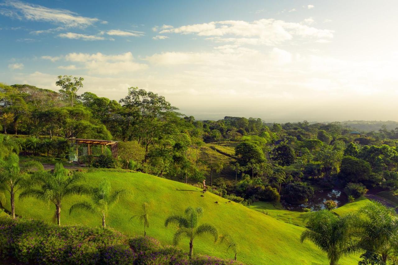 Villa Morpho - Luxury Jungle House At Ecolirios Community Guacimo (Limon)
