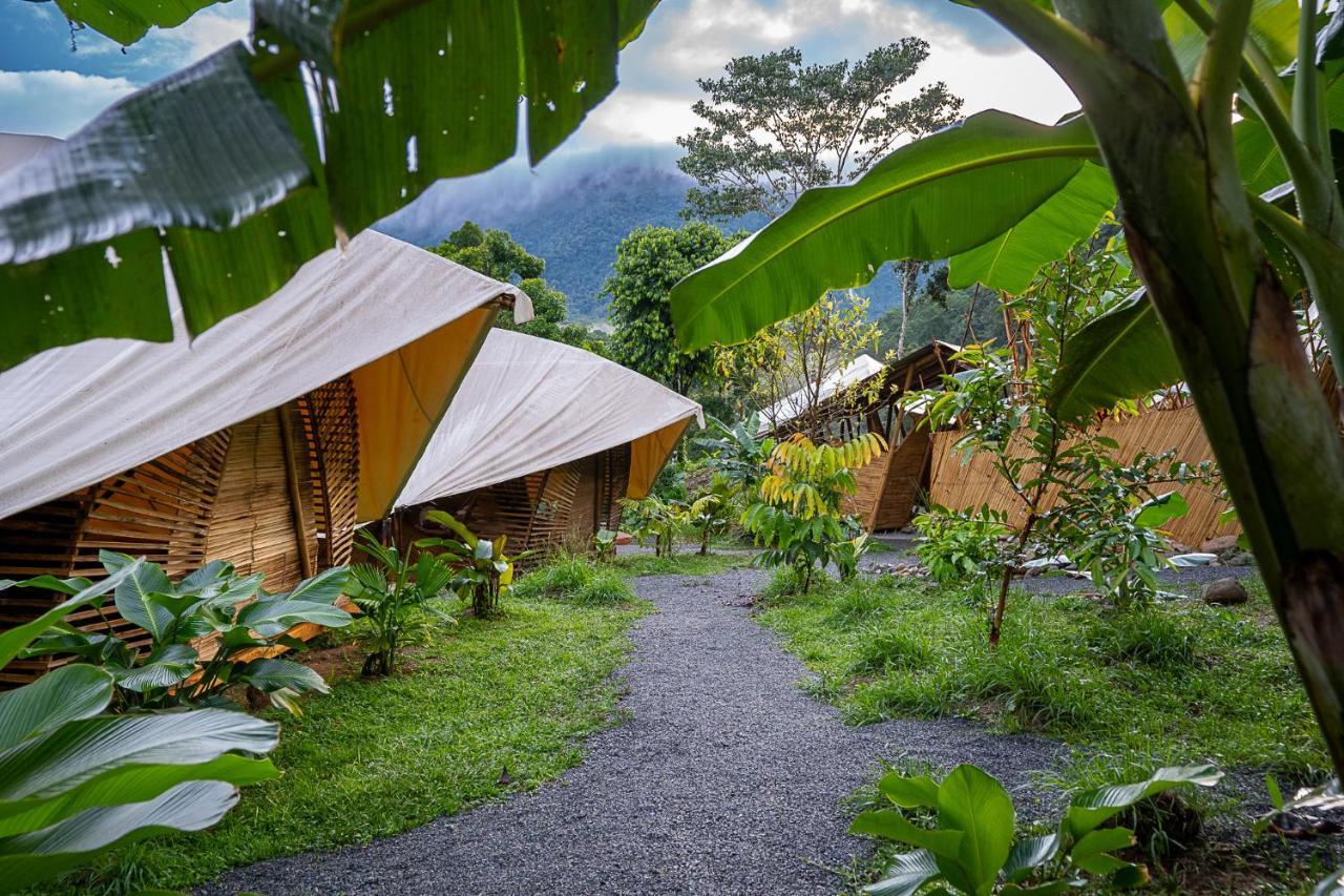 Jungle Gayborhood - Lgbtq Boutique And Retreat Hotel San Luis (Osa, Puntarenas)