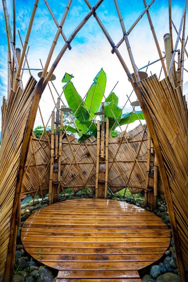 Jungle Gayborhood - Lgbtq Boutique And Retreat