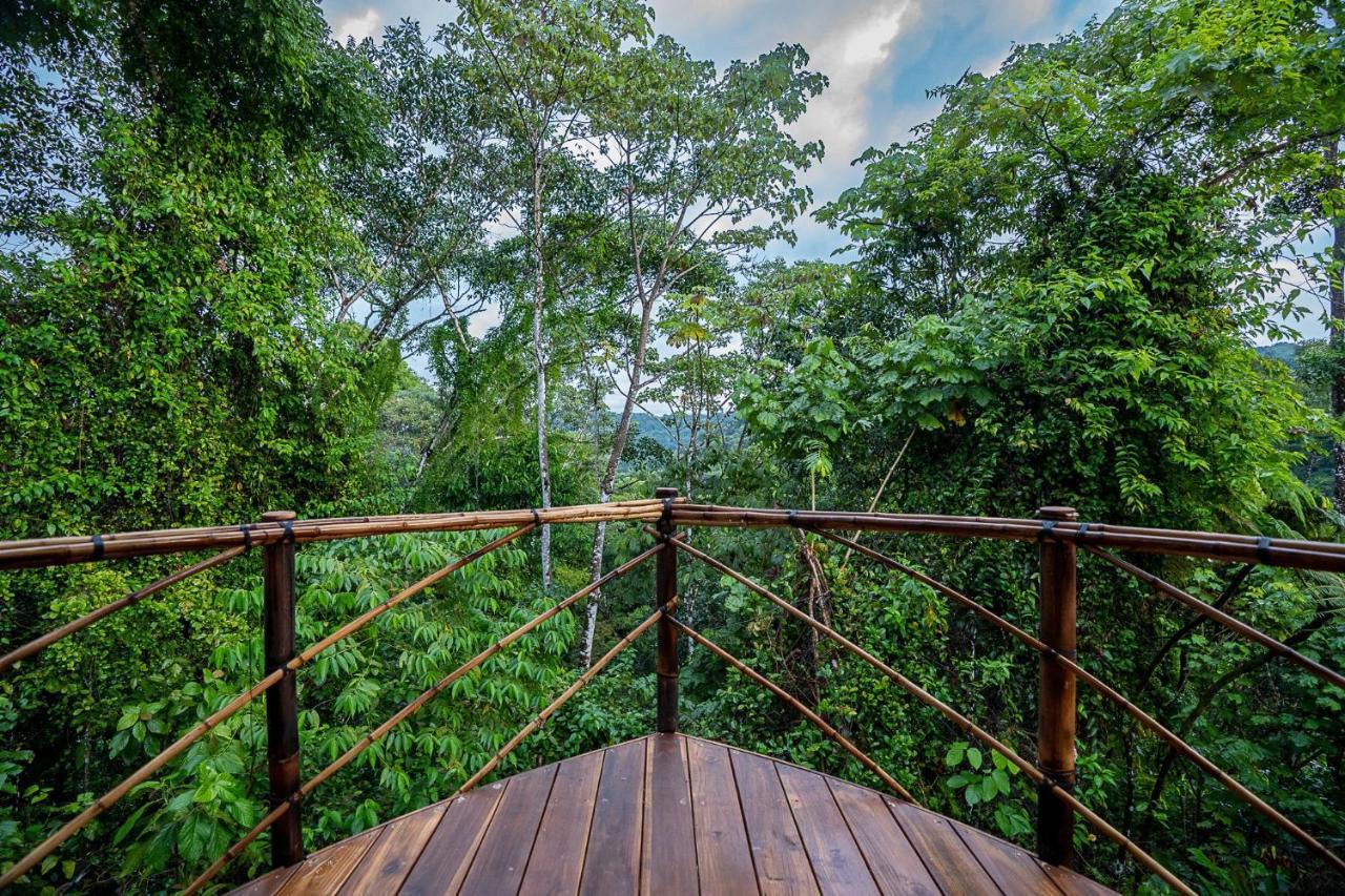 Hotel Jungle Gayborhood - Lgbtq Boutique And Retreat San Luis (Osa, Puntarenas)