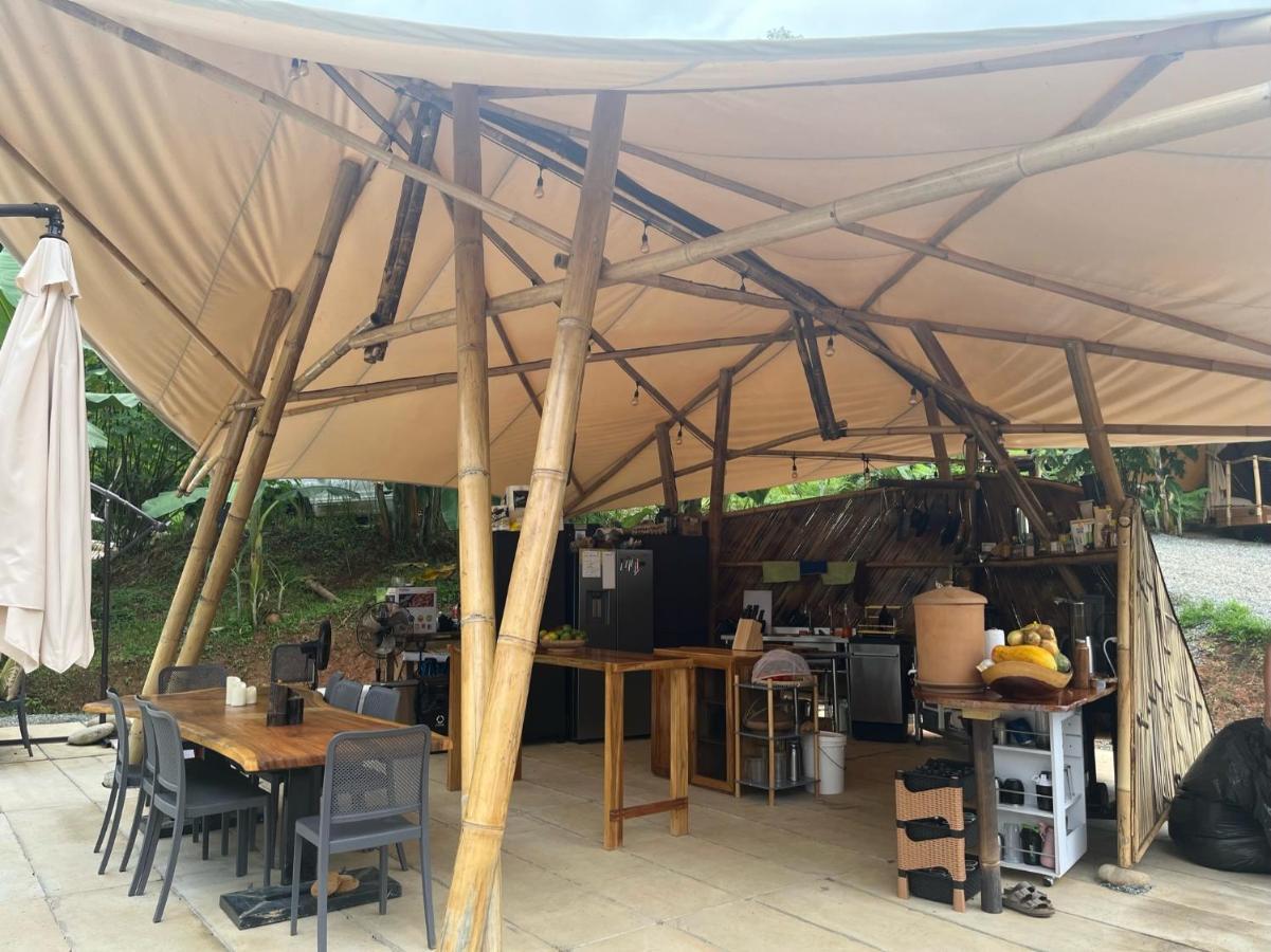 Jungle Gayborhood - Lgbtq Boutique And Retreat Hotel San Luis (Osa, Puntarenas)