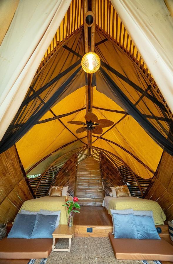 Jungle Gayborhood - Lgbtq Boutique And Retreat Hotel