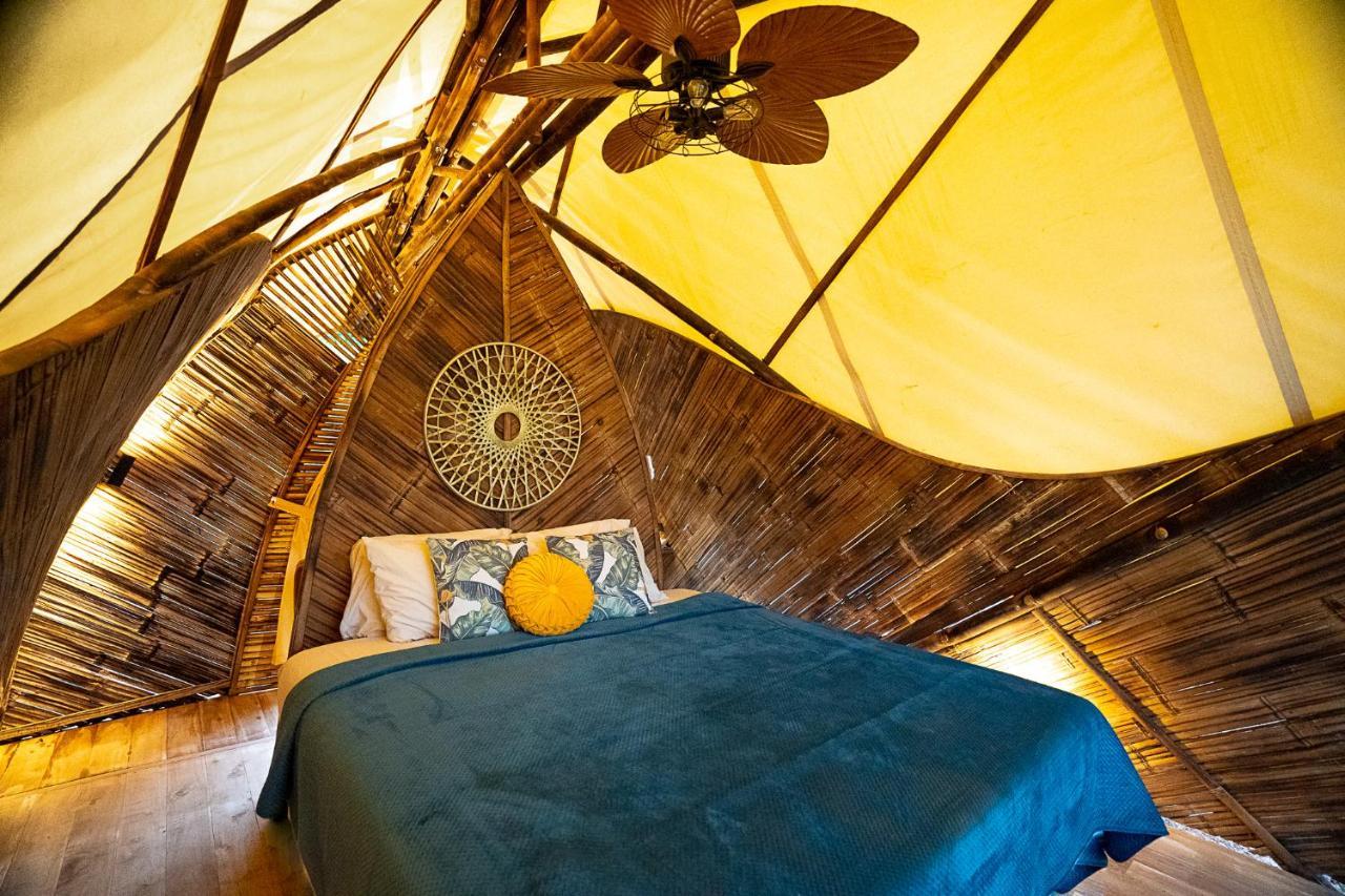 Jungle Gayborhood - Lgbtq Boutique And Retreat Hotel *