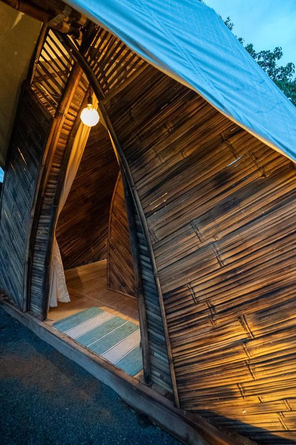 Hotel Jungle Gayborhood - Lgbtq Boutique And Retreat *