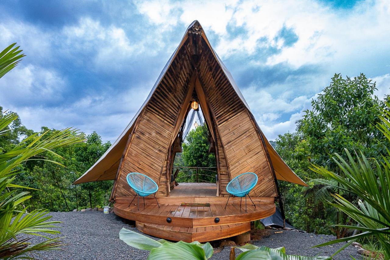 Hotel Jungle Gayborhood - Lgbtq Boutique And Retreat