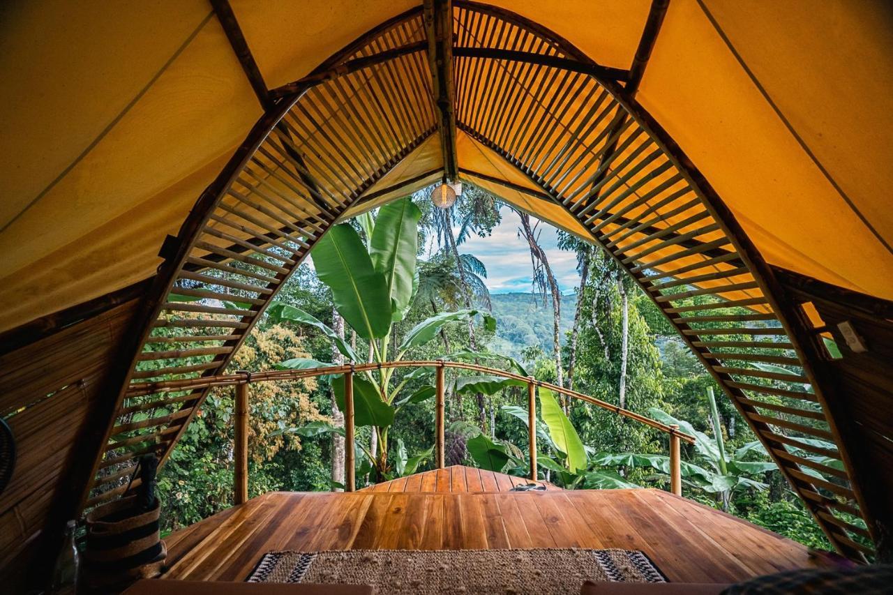 Hotel Jungle Gayborhood - Lgbtq Boutique And Retreat *