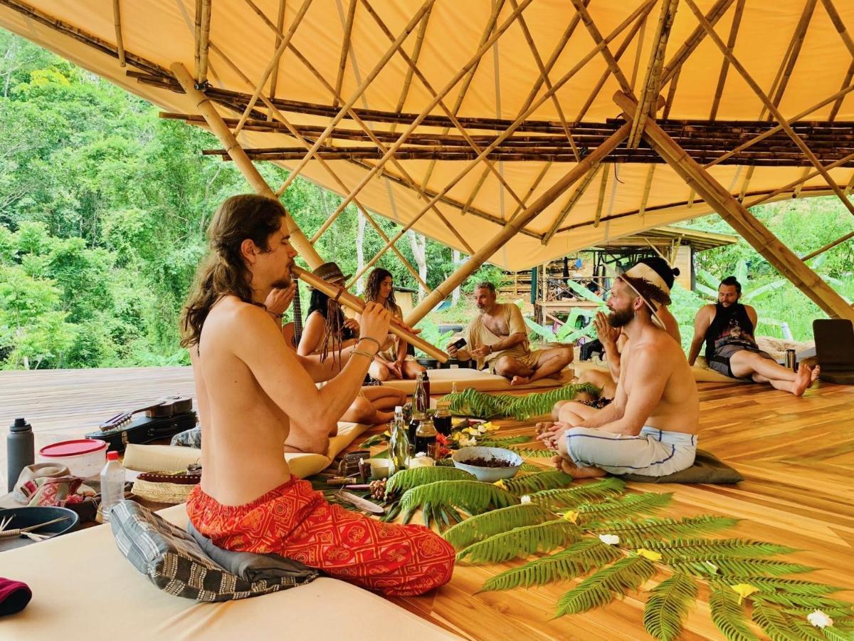 Jungle Gayborhood - Lgbtq Boutique And Retreat Hotel *