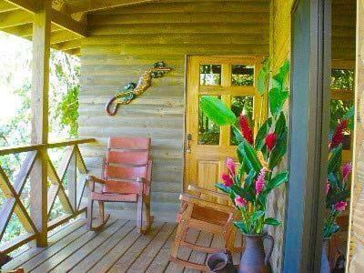 Casitas Ginger