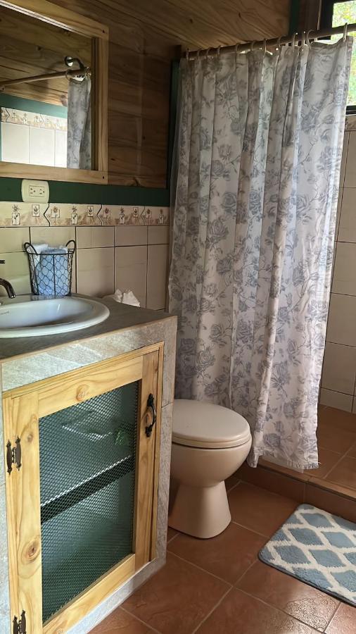 Casitas Ginger