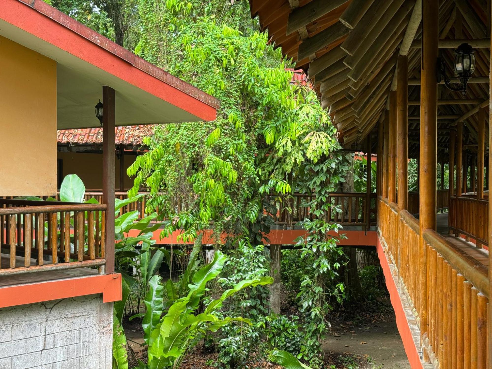 El Bambu Hotel