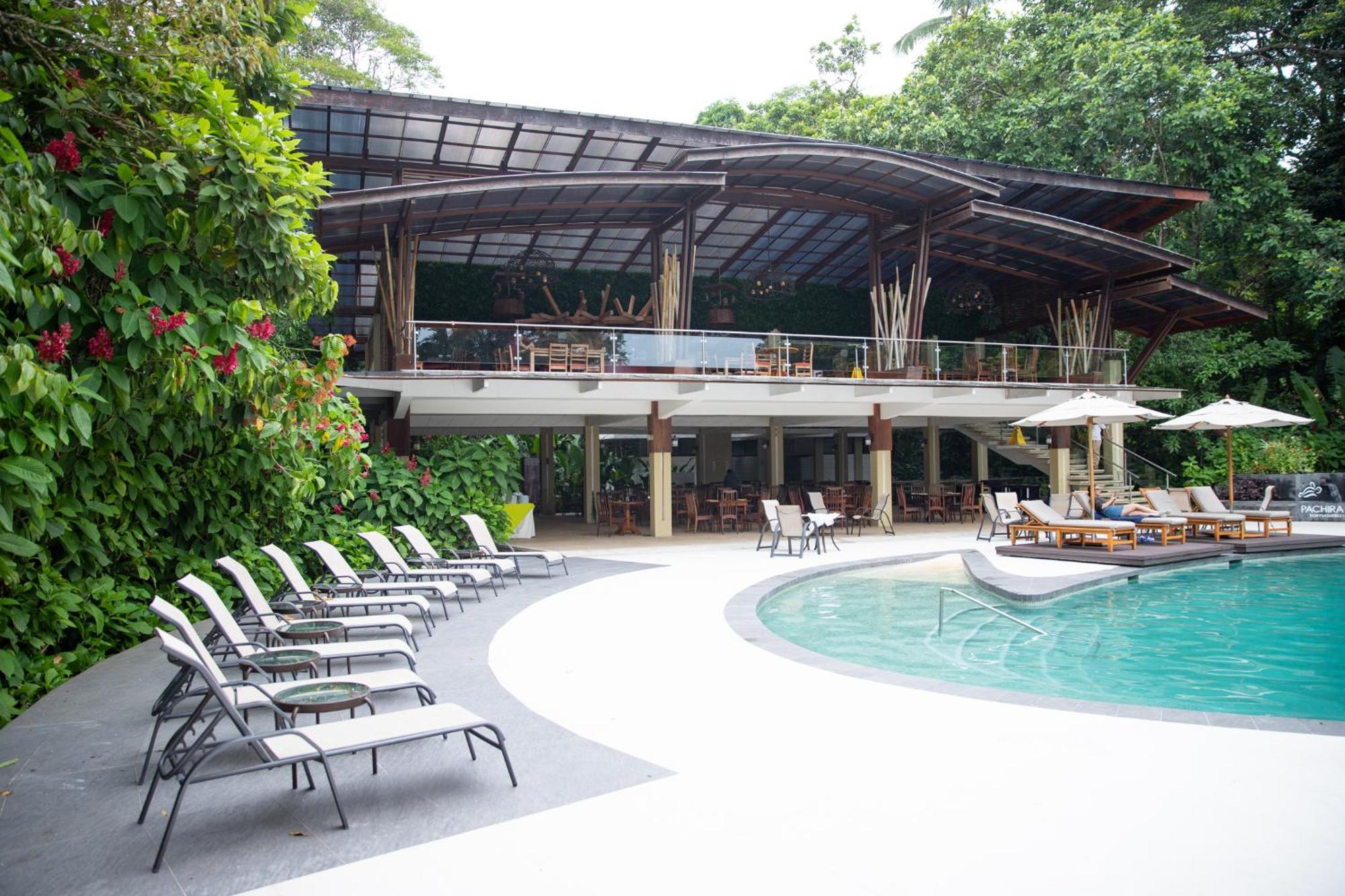 Pachira Tortuguero